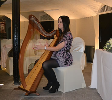 Debbie McQuillan Harpist